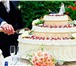 Изображение в Развлечения и досуг Организация праздников Свадьба это волнительный, прекрасный и долгожданный в Тольятти 4 000