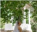 Фото в Одежда и обувь Свадебные платья Продам красивое свадебное платье, одевалось в Омске 5 000