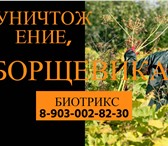 Foto в Прочее,  разное Разное Наши специалисты Биотрикс всегда профессионально в Москве 2 000