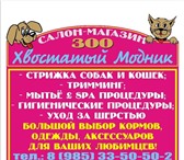Foto в Домашние животные Услуги для животных Зоо салон-магазин "Хвостатый модник" предлагает в Наро-Фоминск 0