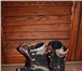 Изображение в Спорт Спортивный инвентарь Продаю сноуборд, б/у полный комплект, Доска+крепления+ботинки! в Барнауле 9 000