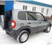 Продам Шевролет Нива 2374262 Chevrolet Niva фото в Перми