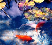 Foto в Строительство и ремонт Ремонт, отделка 3D ПОЛЫ (ФОТО ПОЛЫ) – Уникальное инновационное в Ростове-на-Дону 5 000