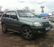 Продаю срочно! 366920 Chevrolet Niva фото в Москве