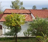 Фотография в Недвижимость Зарубежная недвижимость Беллапаис или Белербеи, как еще называют в Химки 0