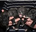 Щенки Кане Корсо 756347 Кане-корсо фото в Ростове-на-Дону