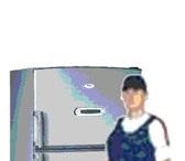Фотография в Электроника и техника Холодильники Произвожу ремонт и обслуживание торговых в Москве 0