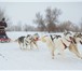 Фотография в Отдых и путешествия Дома отдыха 11 февраляПриглашаем Вас и вашу семью, посетить в Ярославле 2 350