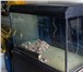 Фотография в Домашние животные Рыбки Продаётся за 5 000 рублей  К кому обращаться: в Москве 5 000