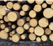 Фотография в Строительство и ремонт Строительные материалы Продается лес круглый хвойных пород (сосна, в Москве 2 300