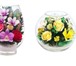 Foto в Домашние животные Растения Композиции цветов в вакууме состоят из натуральных в Москве 1 500