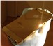 Изображение в Электроника и техника Телефоны Продаю новый iPhone 5S 64 Гб. Золотое покрытие в Москве 95 000