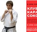 Изображение в Спорт Спортивные клубы, федерации Клуб каратэ Сокол. Черный пояс за 3 года.Микрорайон в Москве 1