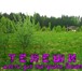 Фото в Недвижимость Земельные участки Предлагаю Вашему вниманию земельные участки, в Смоленске 345 000
