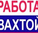 Фото в Работа Вакансии ООО «ПАРТНЕР СТРОЙ»СРОЧНО ТРЕБУЕТСЯГ. Москва, в Оренбурге 30 000