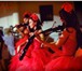Фото в Развлечения и досуг Организация праздников Стильное и виртуозное электро шоу Violin в Москве 2