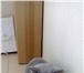 Foto в Домашние животные Вязка кот приглашает на вязку или приедит сам,порода в Тамбове 1 000