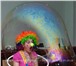 Фото в Развлечения и досуг Организация праздников Праздничное агентство Фокус-покус устроит в Курске 1 300