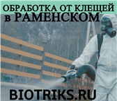 Фото в Прочее,  разное Разное Акарицидная обработка участков от клещей в Егорьевск 300