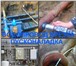 Foto в Строительство и ремонт Сантехника (услуги) Водоснабжение Воронеж водоподготовка и ремонт. в Москве 300