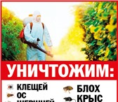 Фото в Прочее,  разное Разное Акарицидная обработка участка против клещей в Наро-Фоминск 550