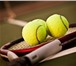Фото в Спорт Спортивные школы и секции Хорватская Теннисная Академия - это команда в Санкт-Петербурге 0
