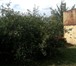 Изображение в Недвижимость Сады 6 соток, недостроенный дом, готовый хозблок в Магнитогорске 100 000