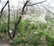 Фотография в Недвижимость Земельные участки центр города, зимний водопровод, газ, электричество, в Санкт-Петербурге 999 000