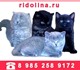 Британские котята ridolina.ru т. 8 985 2