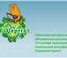 Фото в Работа Работа на дому SEO sprint — уникальный сайт для работы в в Томске 10 000