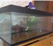 Фотография в Домашние животные Другие животные Здравствуйте, продаю аквариум без сколков в Москве 3 000