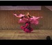 Фотография в Развлечения и досуг Организация праздников яркое шоу восточного танца на любое мероприятие.
- в Астрахани 1 000