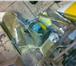 Изображение в Авторынок Автосервис, ремонт Мастерские по ремонту бамперов, и пластиковых в Санкт-Петербурге 999