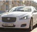 Фото в Авторынок Аренда и прокат авто Компания "Luxury Cars" предлагает для Вас в Санкт-Петербурге 1 500