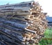 Foto в Прочее,  разное Разное продам дрова тяжелых пород обрезки дуб ясень в Брянске 1 000