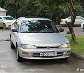 Toyota Corolla 1073535 Toyota Corolla фото в Таганроге