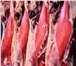 Фотография в Прочее,  разное Разное Мясо говядина в тушах-полутушах/четвертях в Перми 195