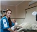 Фото в Домашние животные Услуги для животных ветеринарный врач с опытом работы и любовью в Сочи 800