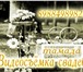 Фото в Развлечения и досуг Организация праздников видеосъёмка фотосъёмка свадеб тамада красноармейский в Волгограде 10 000