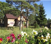 Foto в Отдых и путешествия Гостиницы, отели Проведите день, несколько дней в Аршане в в Иркутске 400