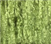 Изображение в Прочее,  разное Разное Продаются натуральный мех ламы в пластинах в Москве 0