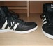 Изображение в Одежда и обувь Спортивная обувь Продам кроссовки Adidas NEO женские размер в Чите 2 000