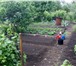 Изображение в Недвижимость Сады СРОЧНО! Плодоносящий, ухоженный сад от собственника в Челябинске 720 000