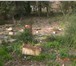 Фото в Недвижимость Земельные участки Земельный участок с видом на море,до моря в Сочи 2 900 000