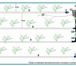 Foto в Строительство и ремонт Разное Автоматический капельный полив «АКП ОГО-Родник» в Саратове 2 500
