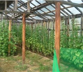 Изображение в Недвижимость Продажа домов Краснокамск (все по новой дороге),  станция в Перми 650 000
