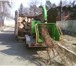 Фото в Строительство и ремонт Ландшафтный дизайн Удаление деревьев любой сложности методом в Москве 700
