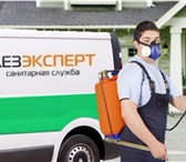 Фотография в Прочее,  разное Разное Санитарная служба "DezЭксперт" предлагает в Нижнем Новгороде 590
