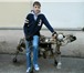 Фото в Работа Вакансии Хочу работать 2 месяца на одной и той же в Старом Осколе 10 000