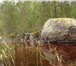 Фотография в Отдых и путешествия Дома отдыха Лесная изба "Тикшозеро" расположенная на в Петрозаводске 2 700